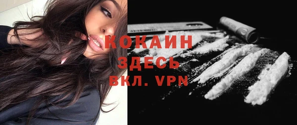 ГАЛЛЮЦИНОГЕННЫЕ ГРИБЫ Каменногорск