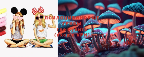 ГАЛЛЮЦИНОГЕННЫЕ ГРИБЫ Каменногорск